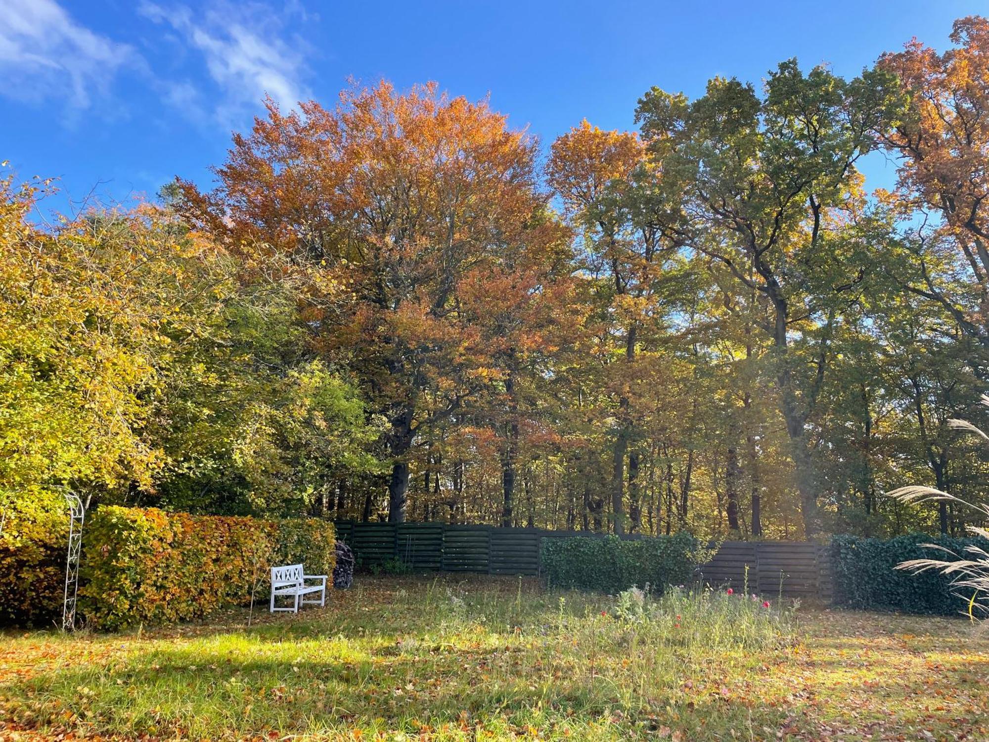 Cozy Private Annex Near Bathing Lake And 30 Min. From Copenhagen Slangerup Exterior photo